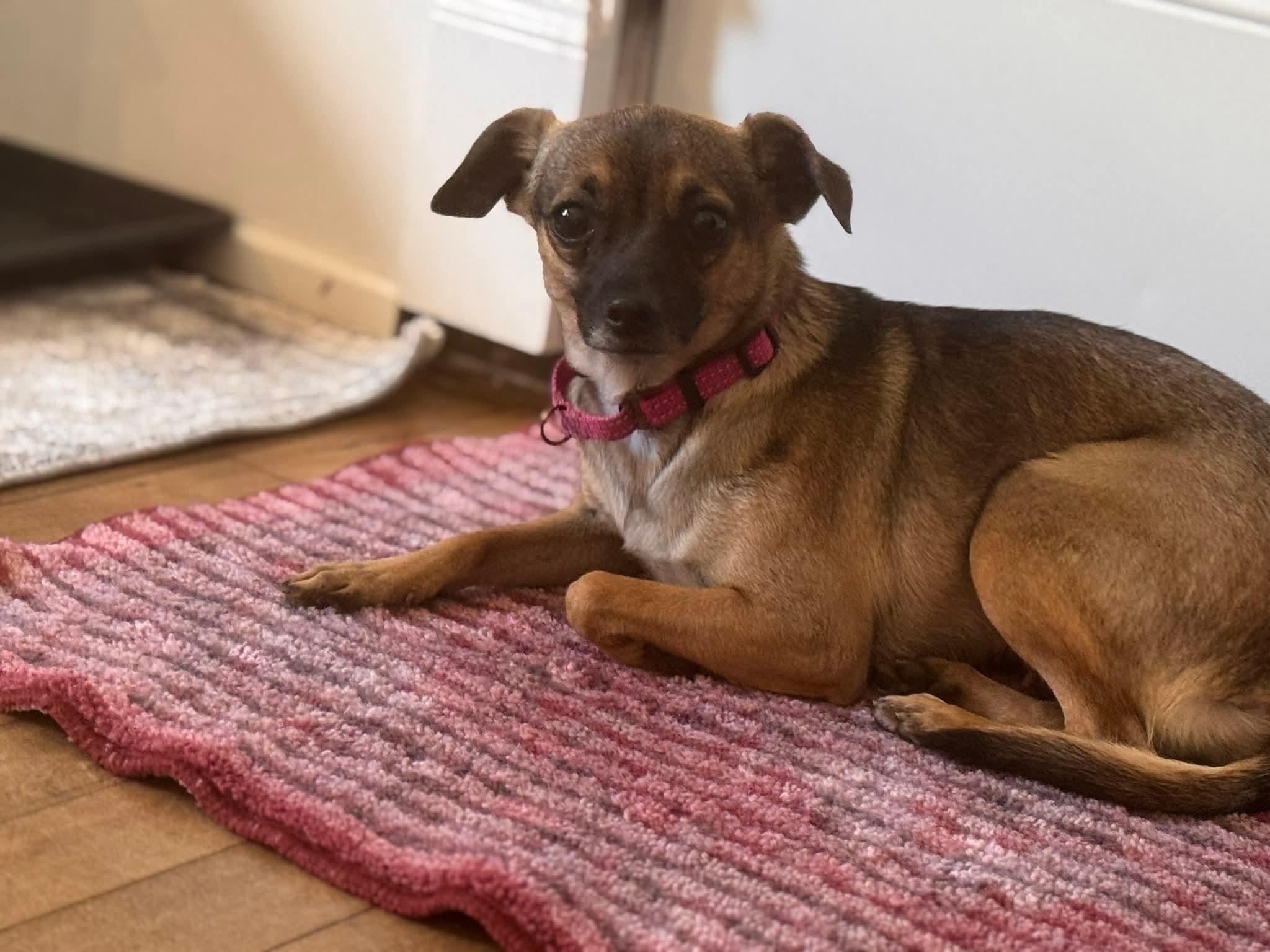 PRINCESS PEACHES    $425