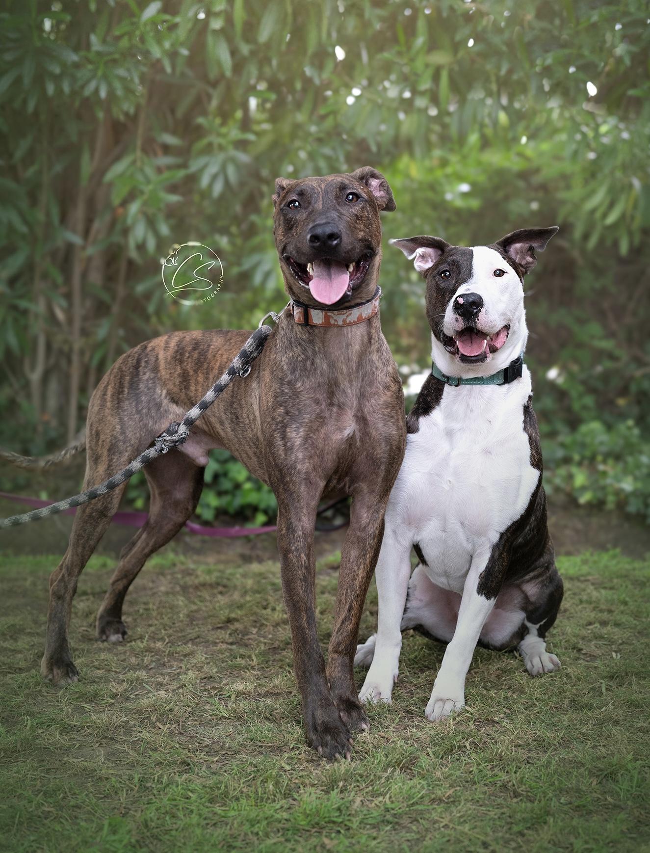 Parker (and Enzo) contact Rachel