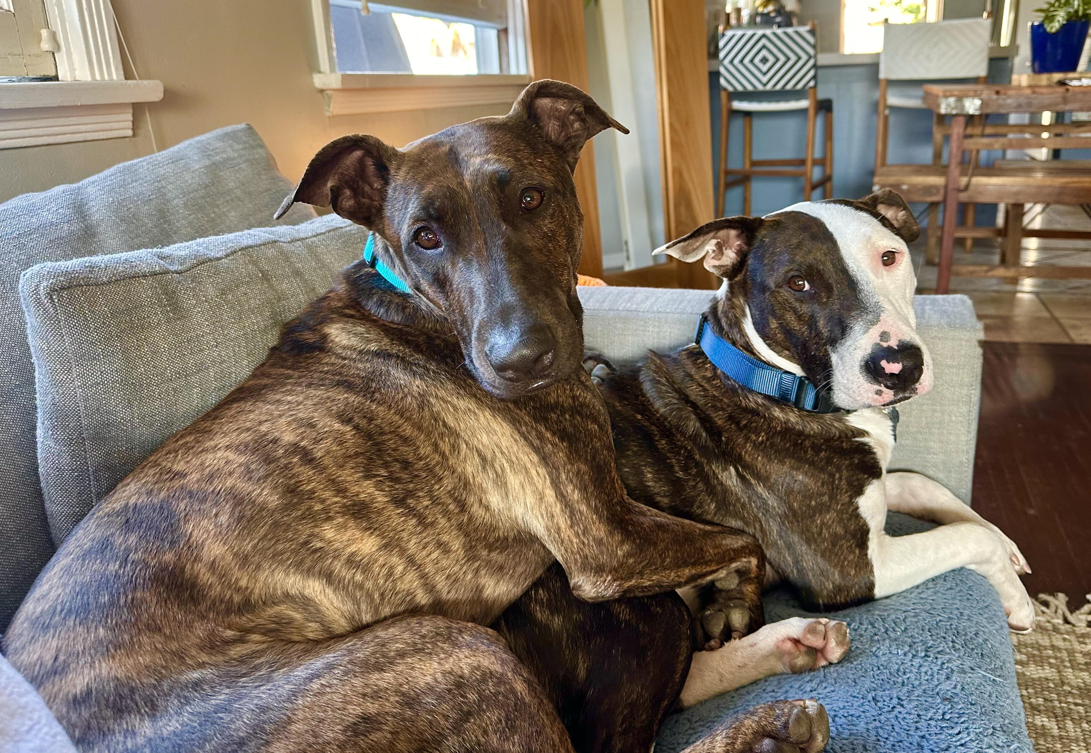 Parker (and Enzo) contact Rachel