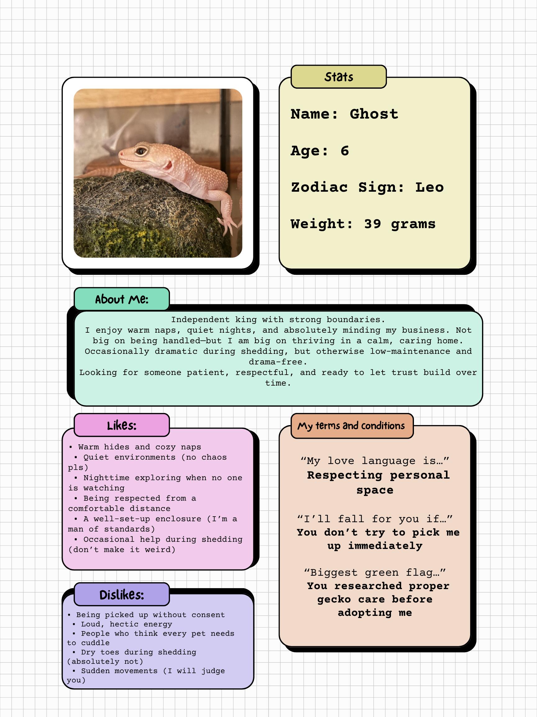Ghost, an adoptable Lizard in JACKSON, NJ image 5/6