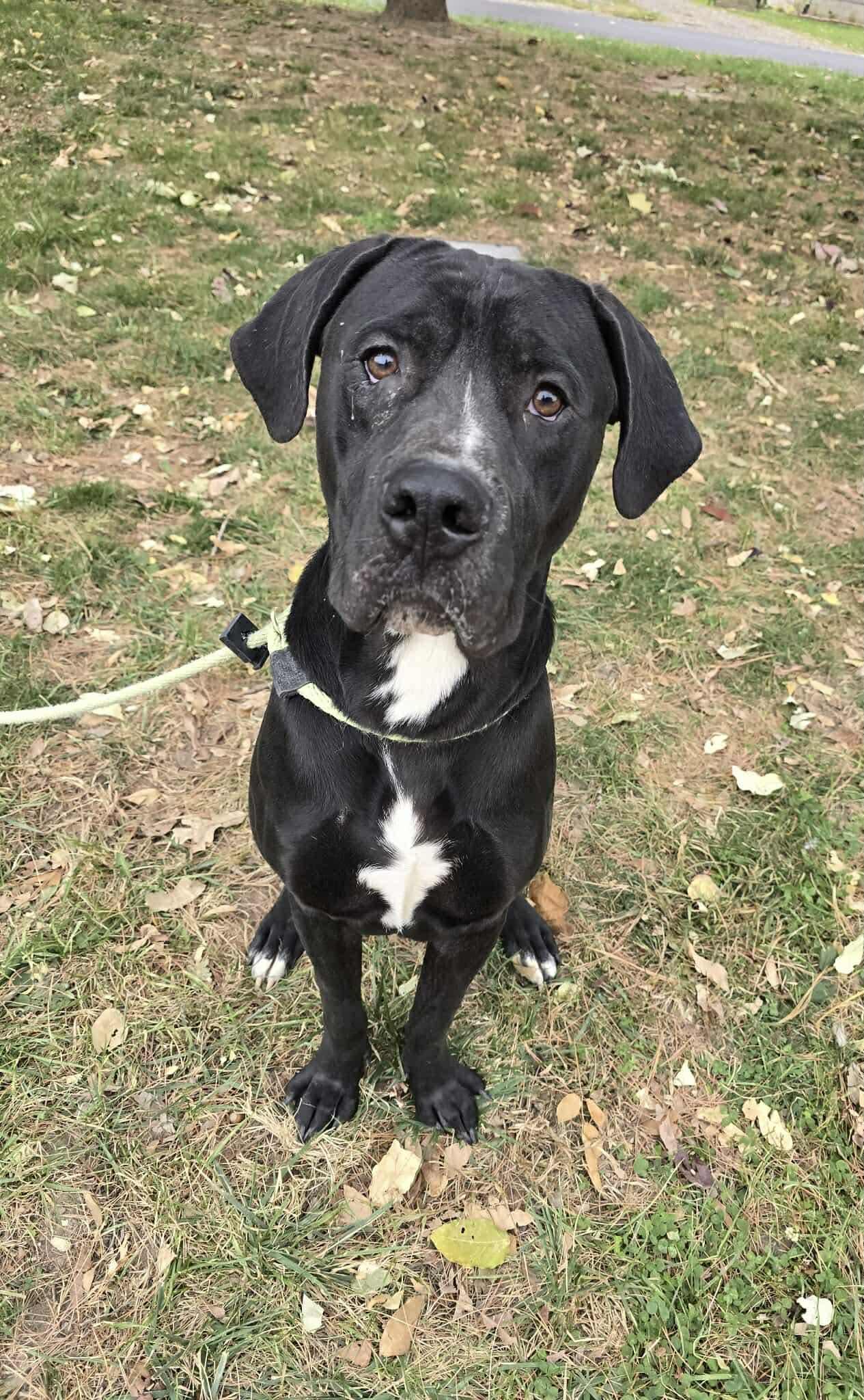 Oakley