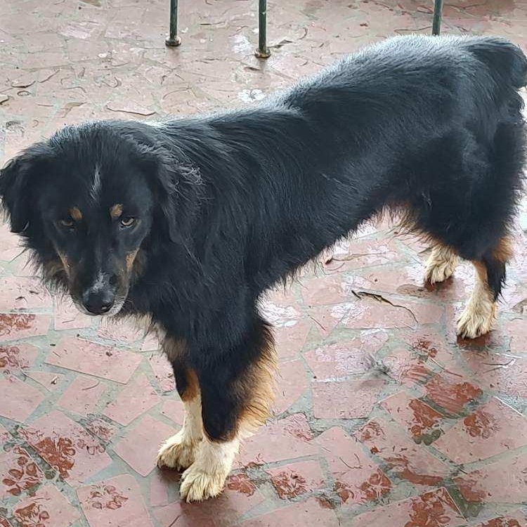 Winnie photo 2