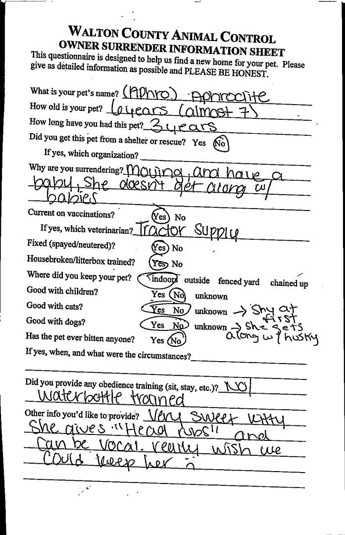 Aphrodite # thumbnail 2