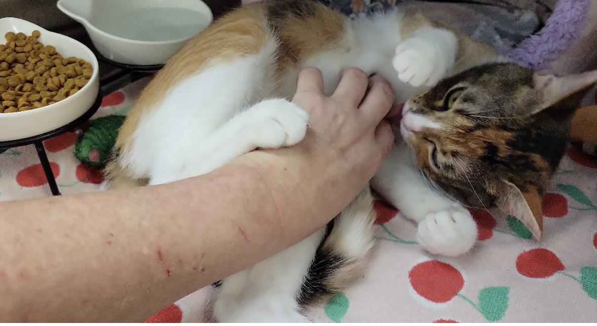 Big Peaches thumbnail 3