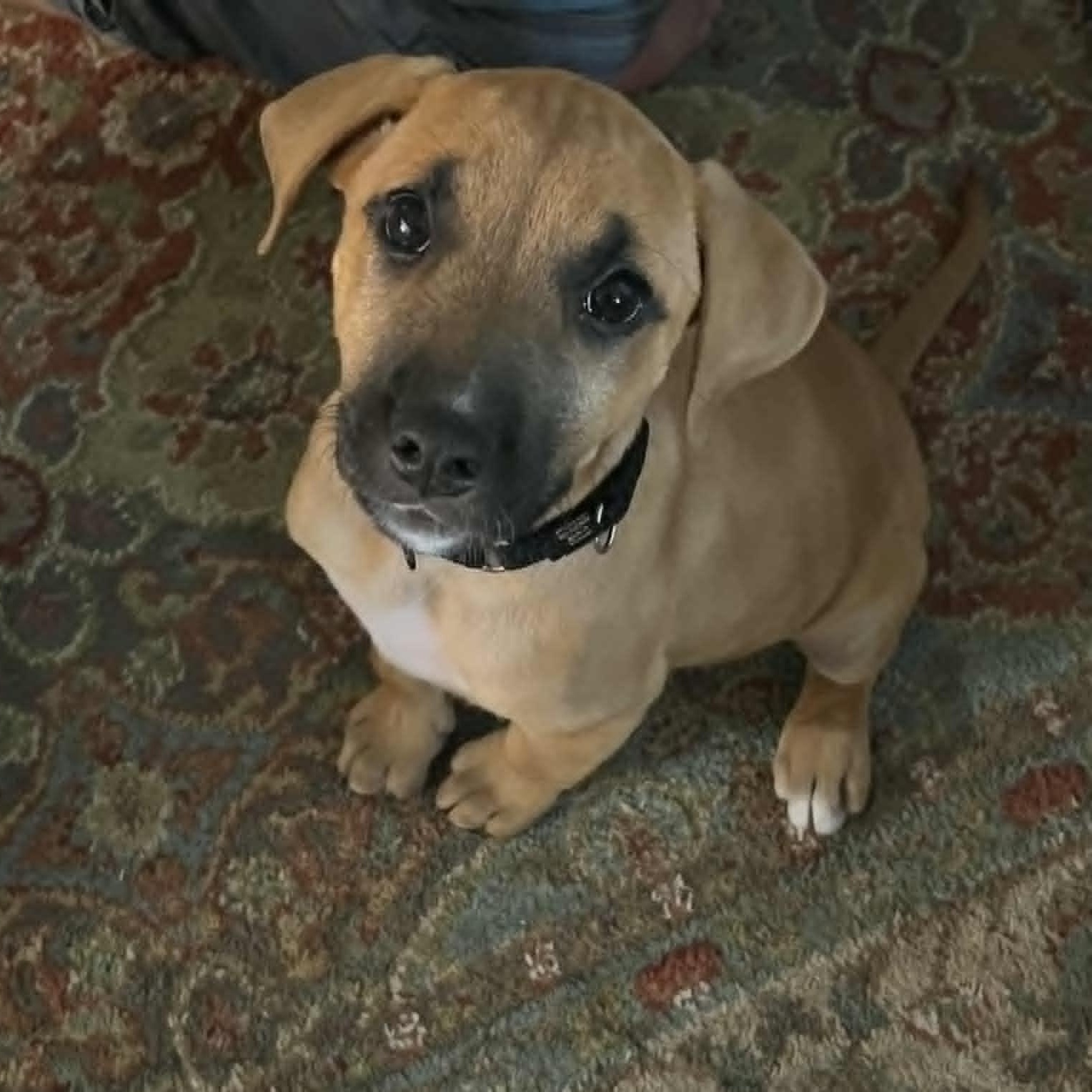 Zoey
