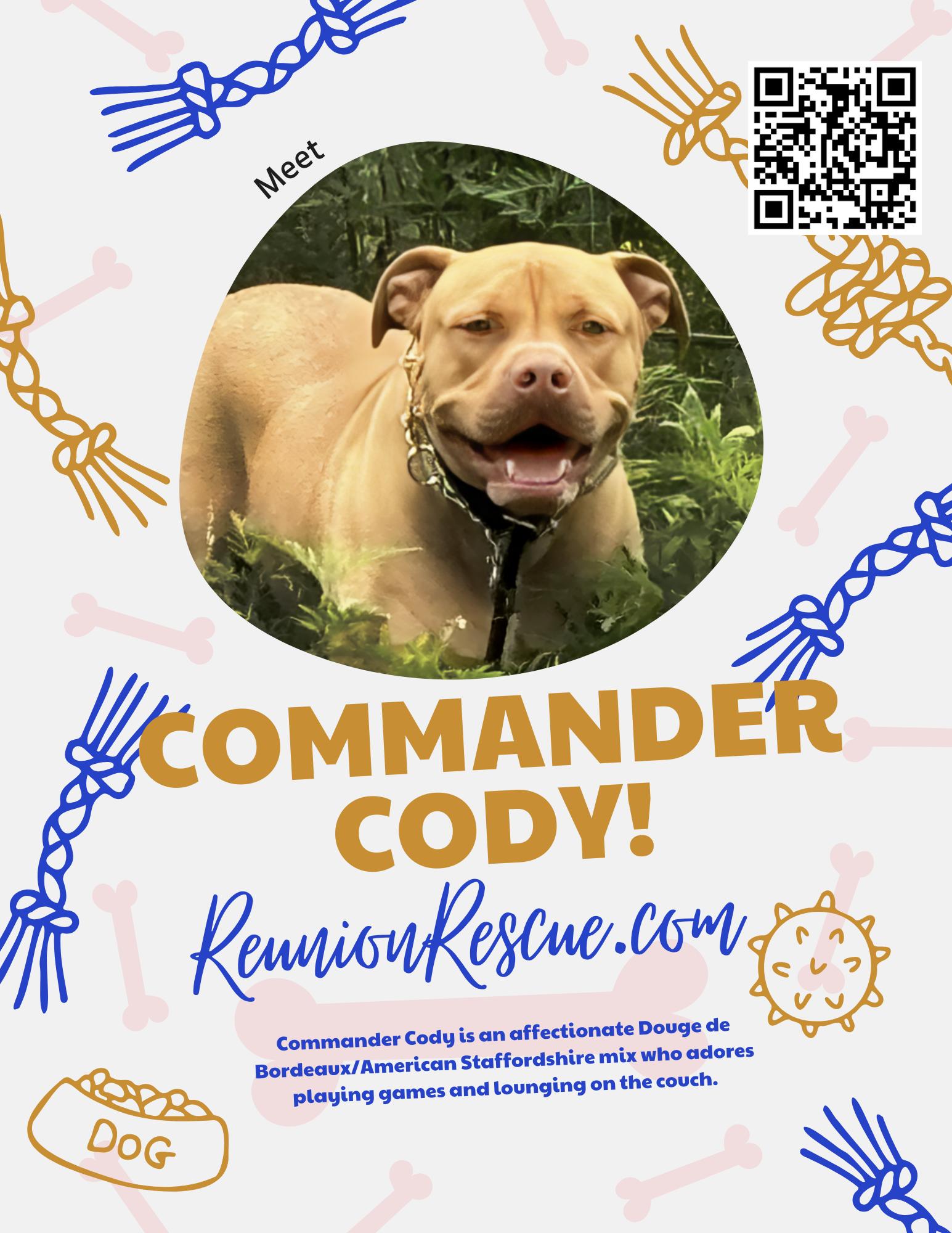 Enlarge Commander Cody, a Adoptable mixed breed in Austin, TX image 1/1