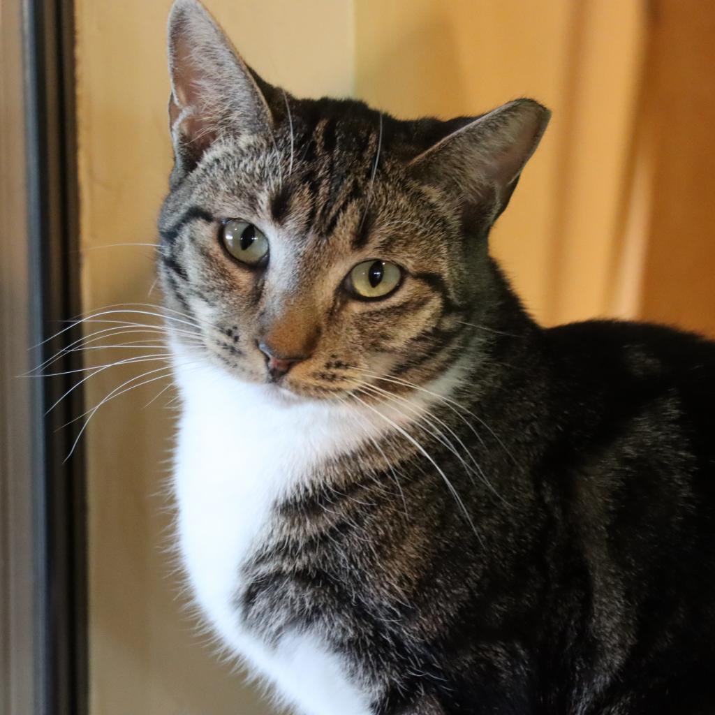 Outback — thumbnail 2