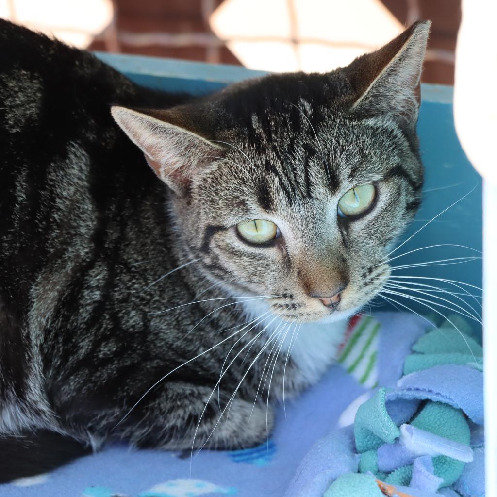 Outback — thumbnail 3