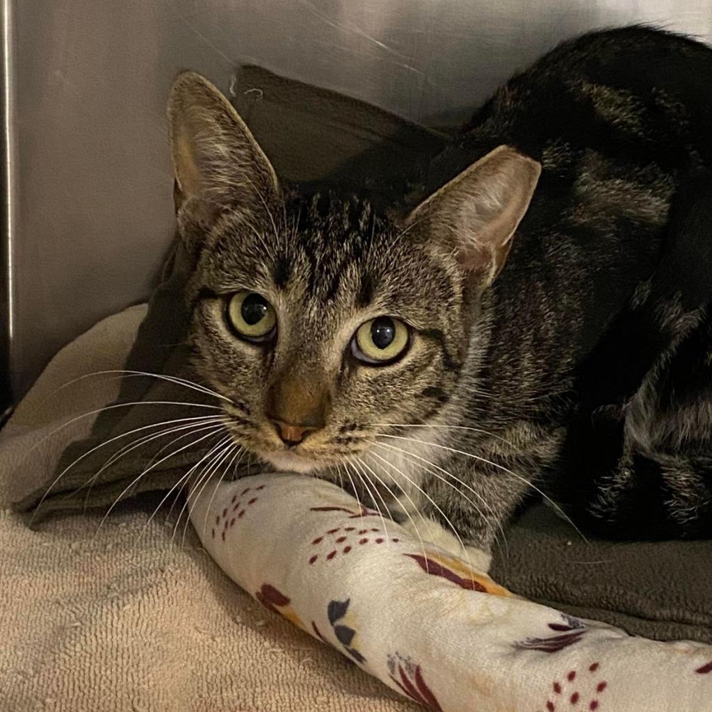 Outback — thumbnail 5