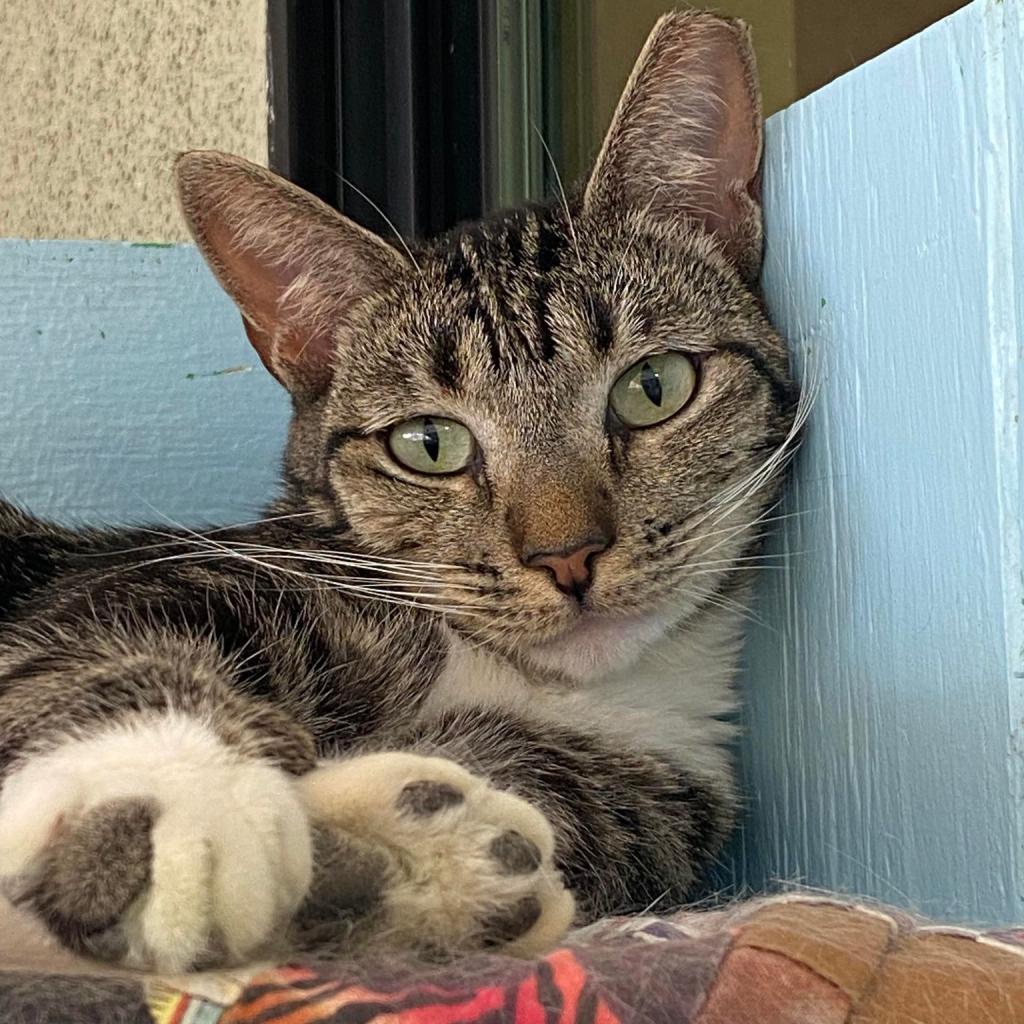 Outback — thumbnail 6