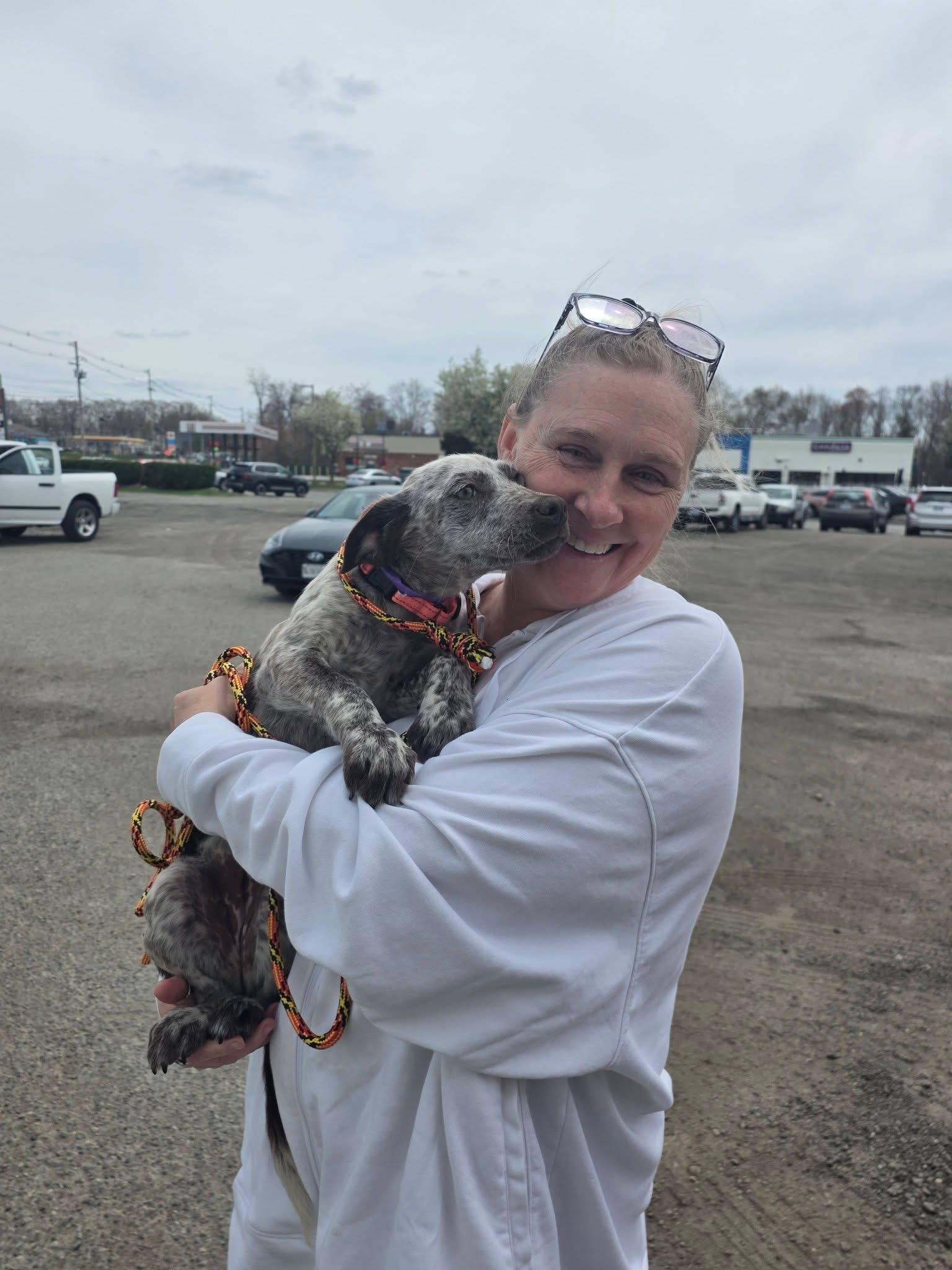 Enlarge Minnie*, an adopted mixed breed in Cumberland, RI image 2/2