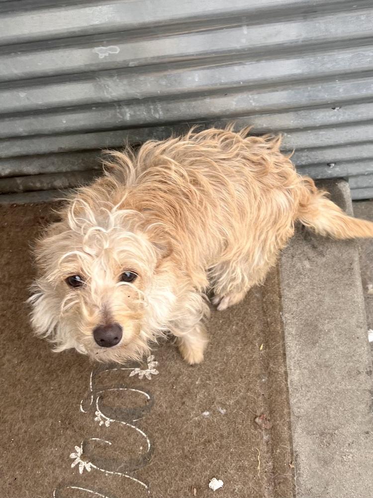 Bailey — thumbnail 2