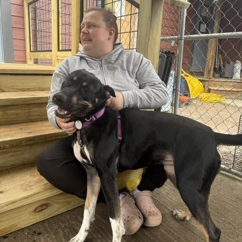 Enlarge Freya, a Adoptable mixed breed in Saranac Lake, NY image 6/6