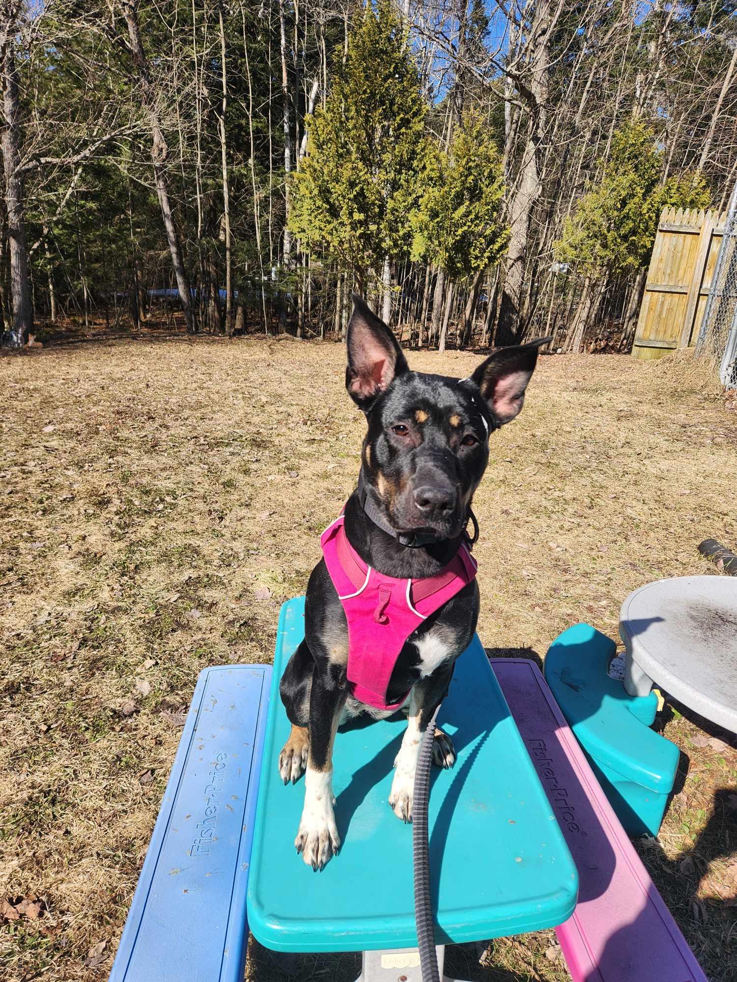 Freya photo 2
