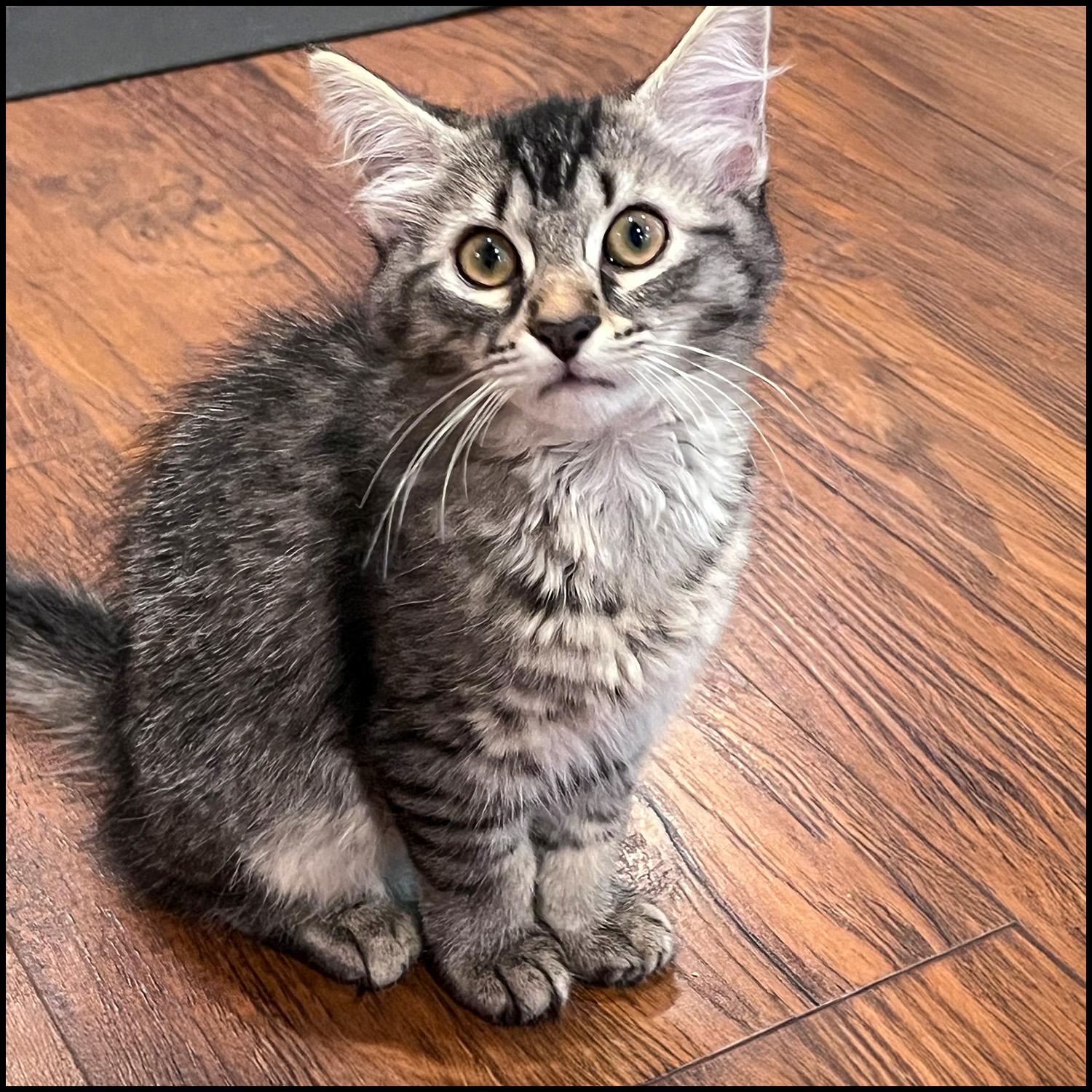 Libby