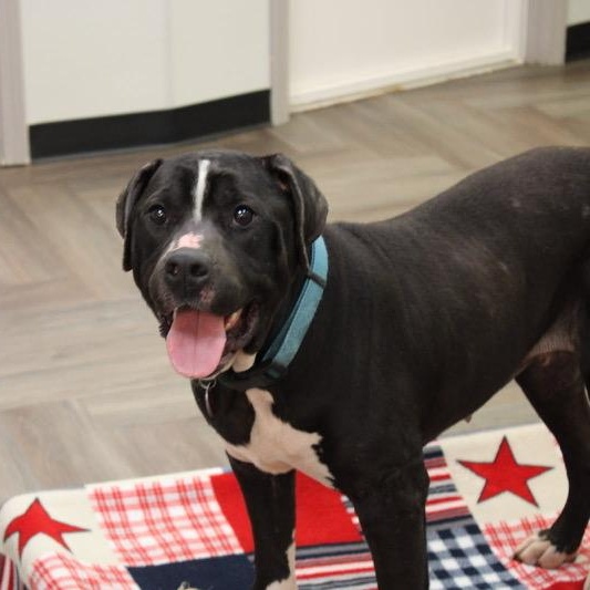 Grace Kelly — thumbnail 4