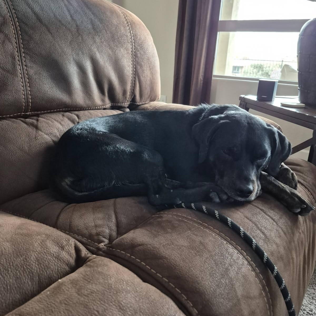 Bella
