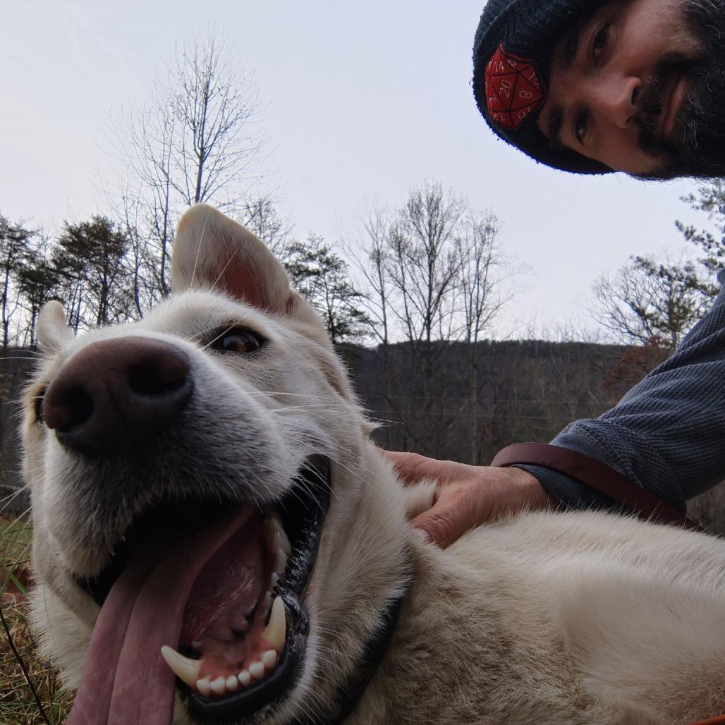 Astrid, a Adoptable Shepherd in Evensville, TN image 1/6