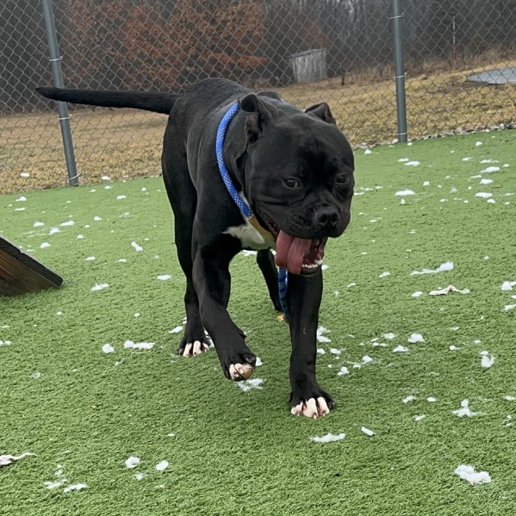 Chucky — thumbnail 5