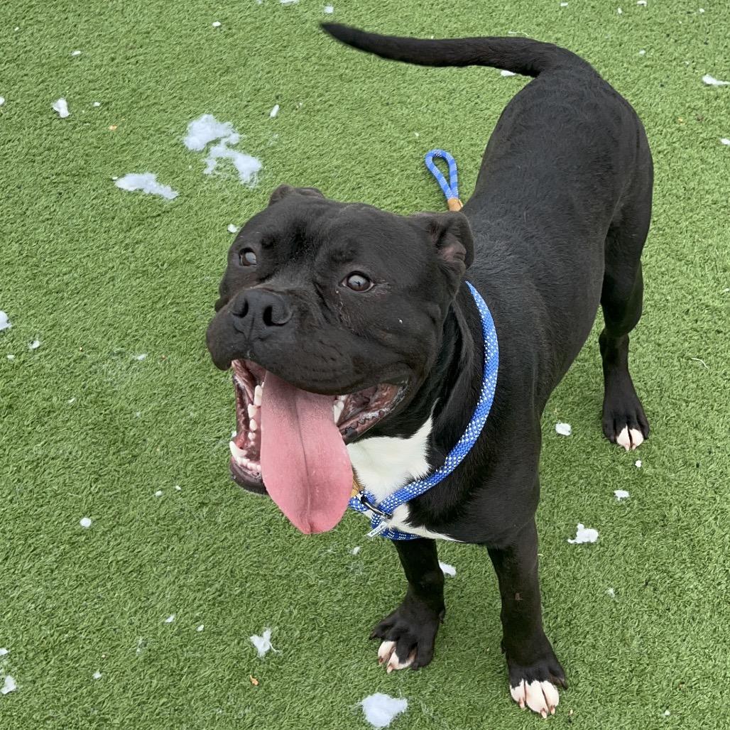 Chucky — thumbnail 6