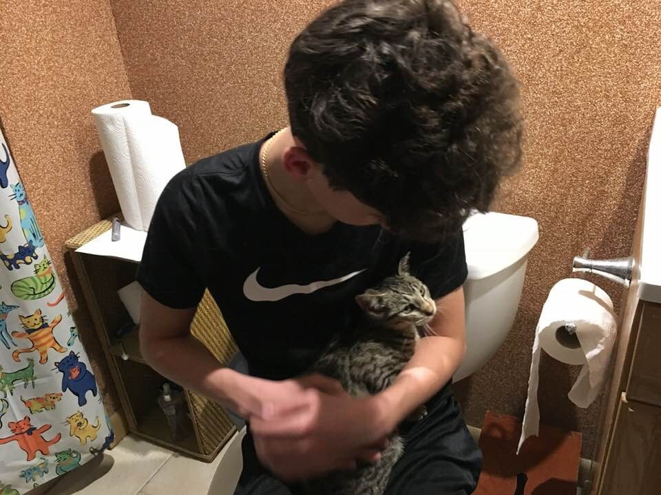 Oscar, a Adoptable mixed breed in Clifton, NJ image 1/12