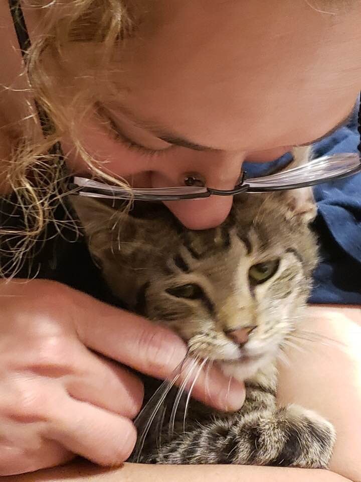 Oscar, a Adoptable mixed breed in Clifton, NJ image 3/12