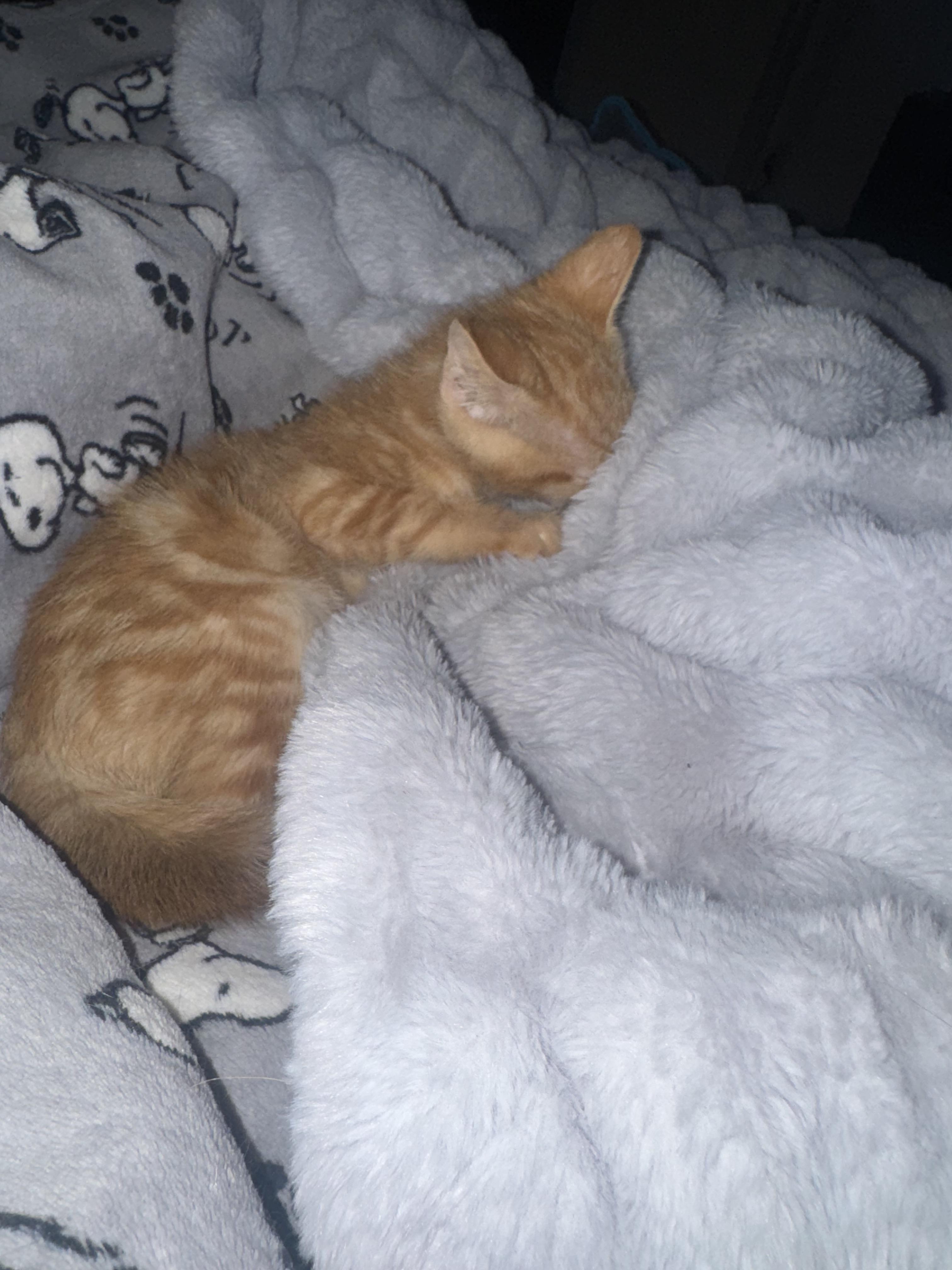 Cuddles and Puddles