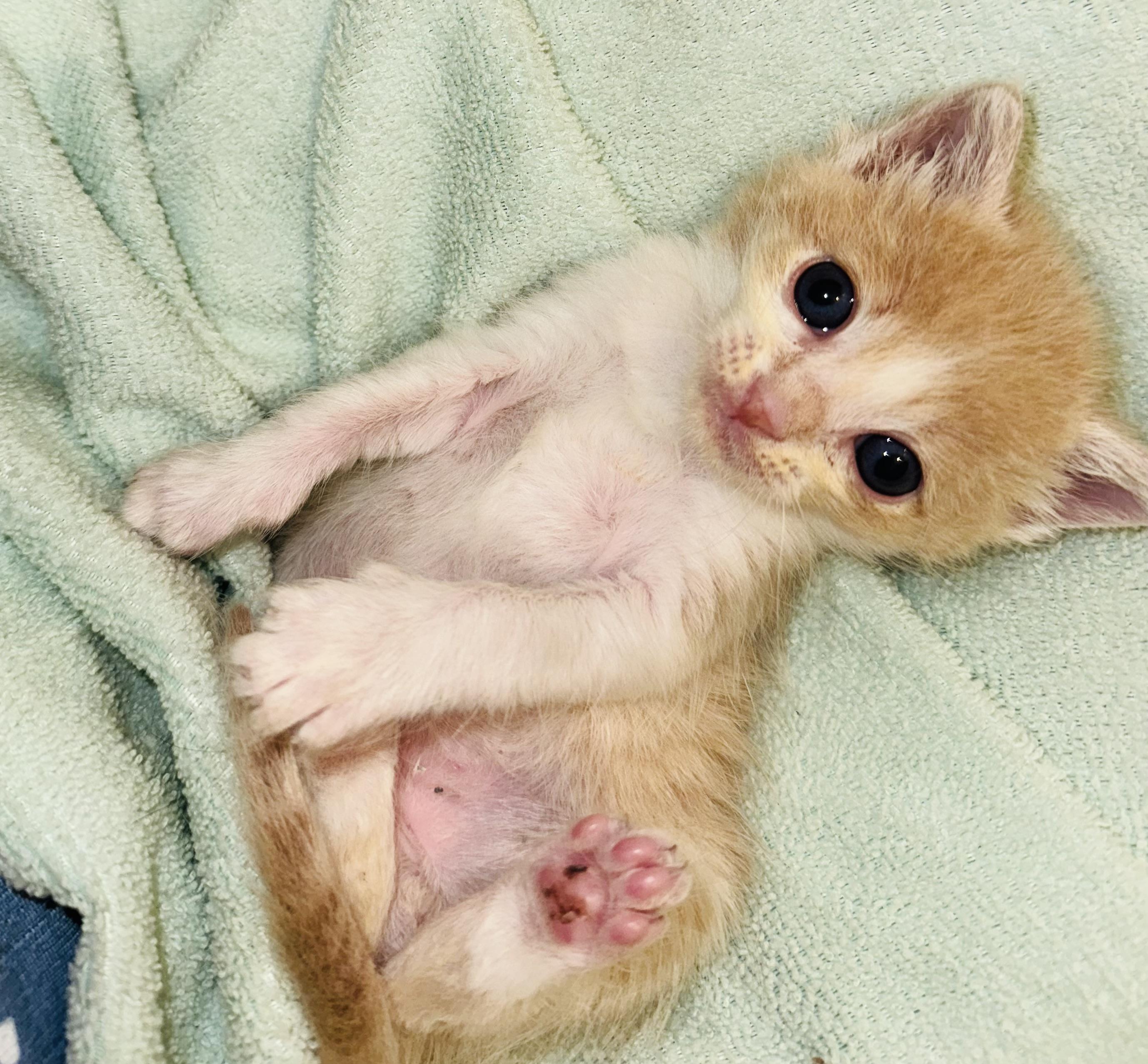 Cuddles and Puddles