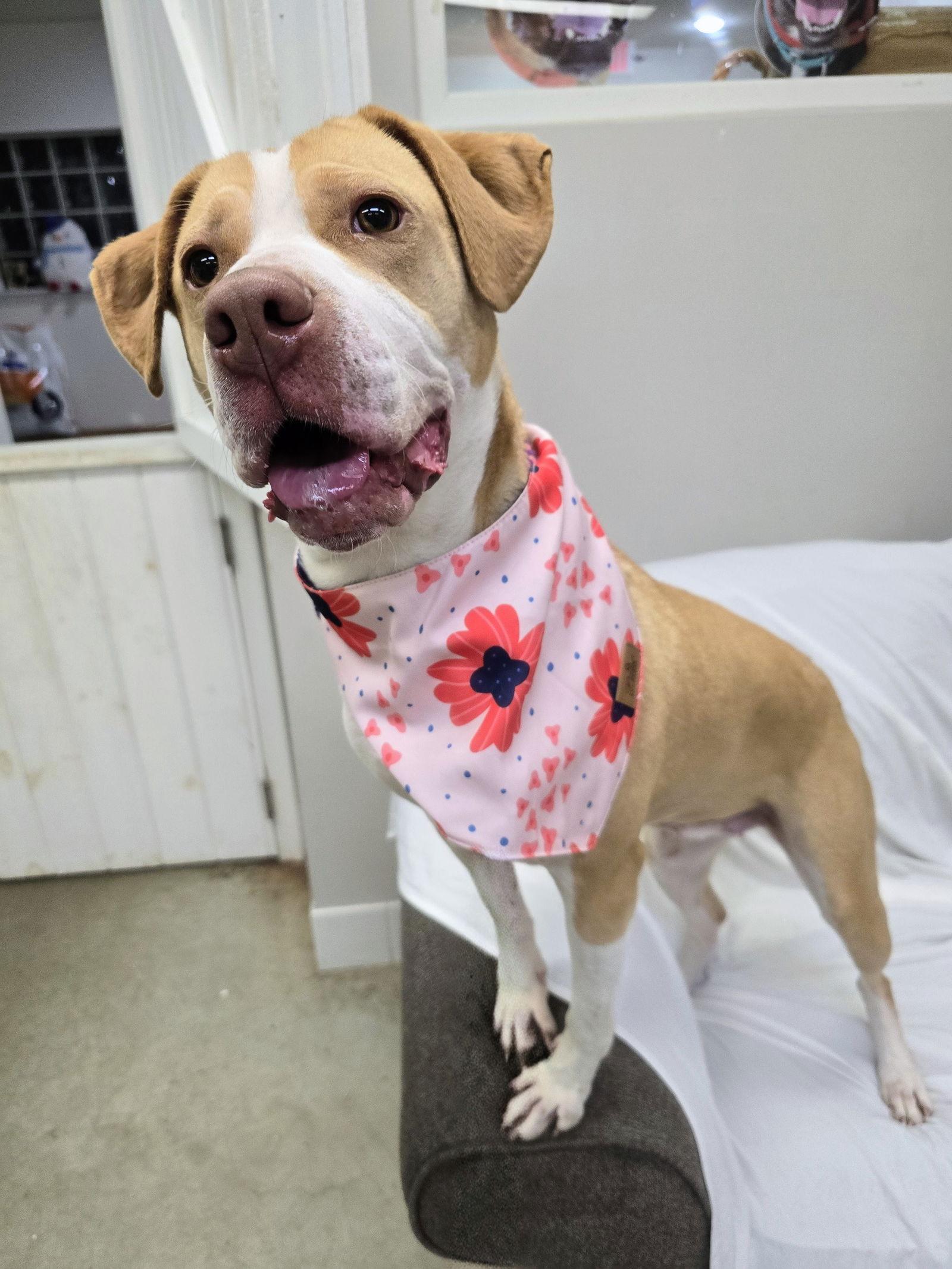 Maya Rds thumbnail 2