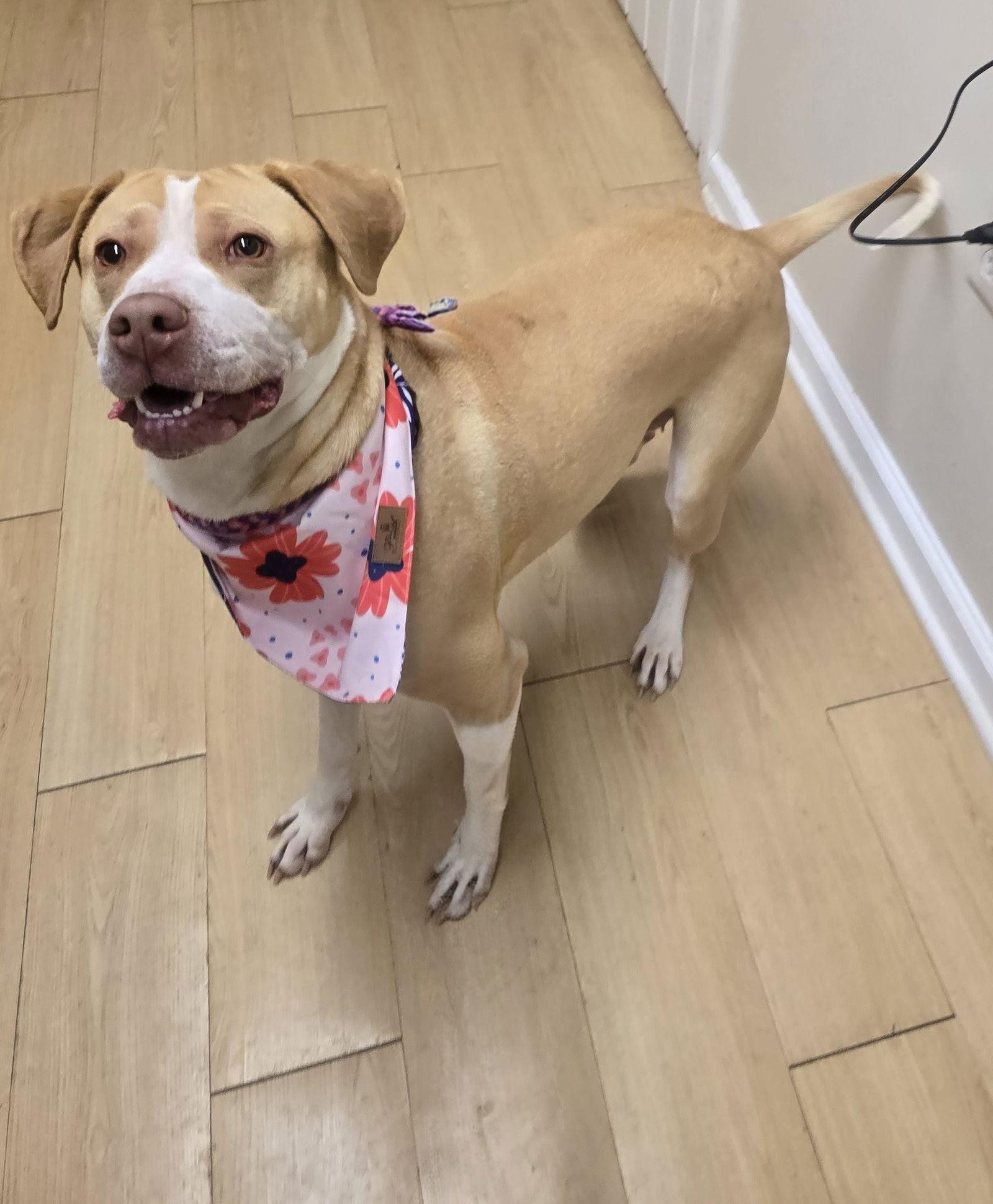 Maya Rds thumbnail 3