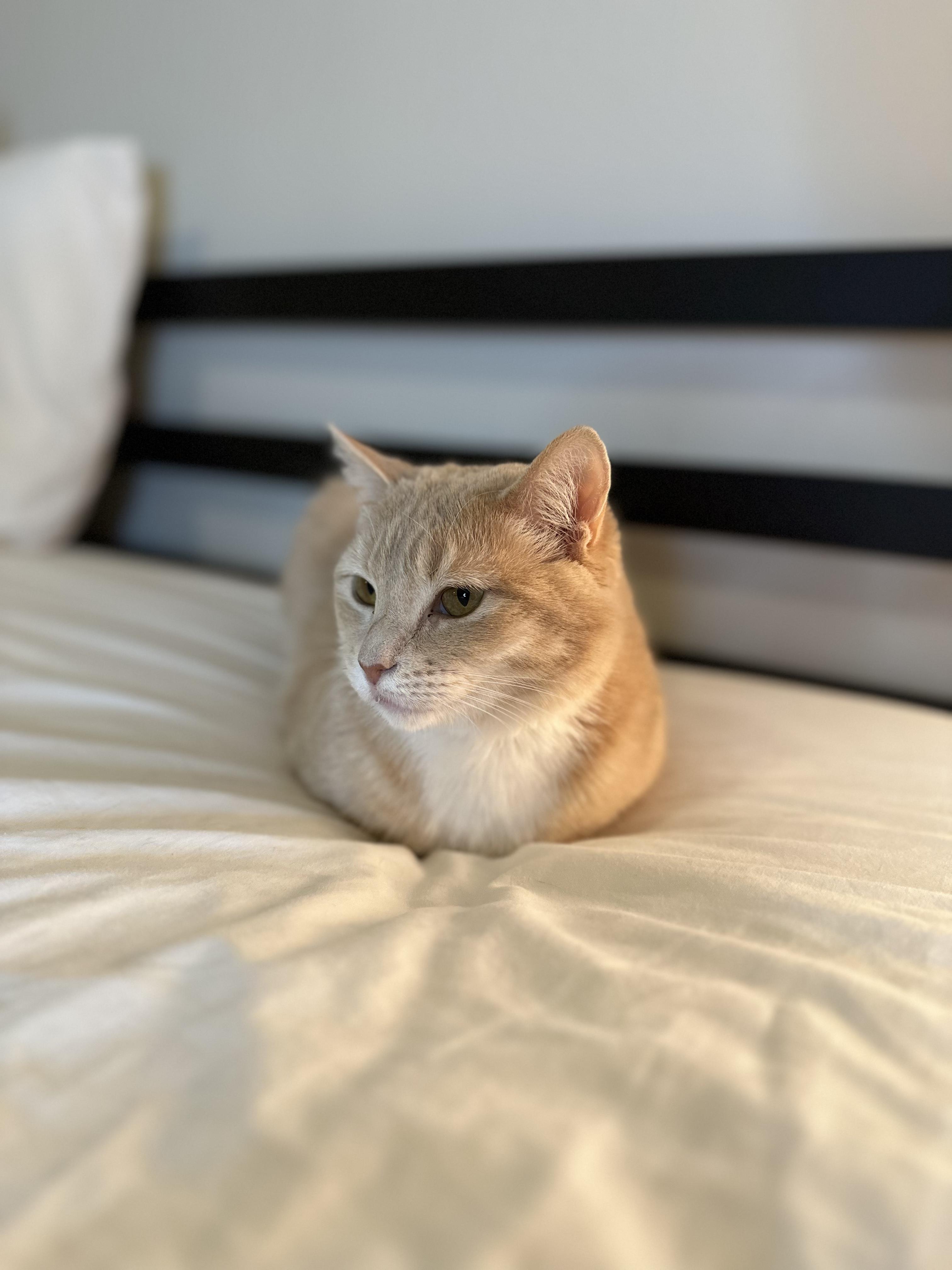 Lola photo 2