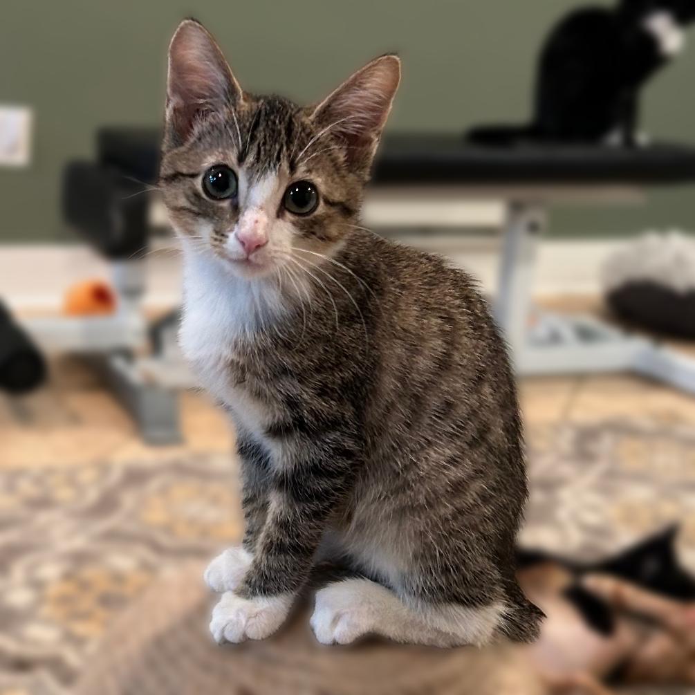 Teagan