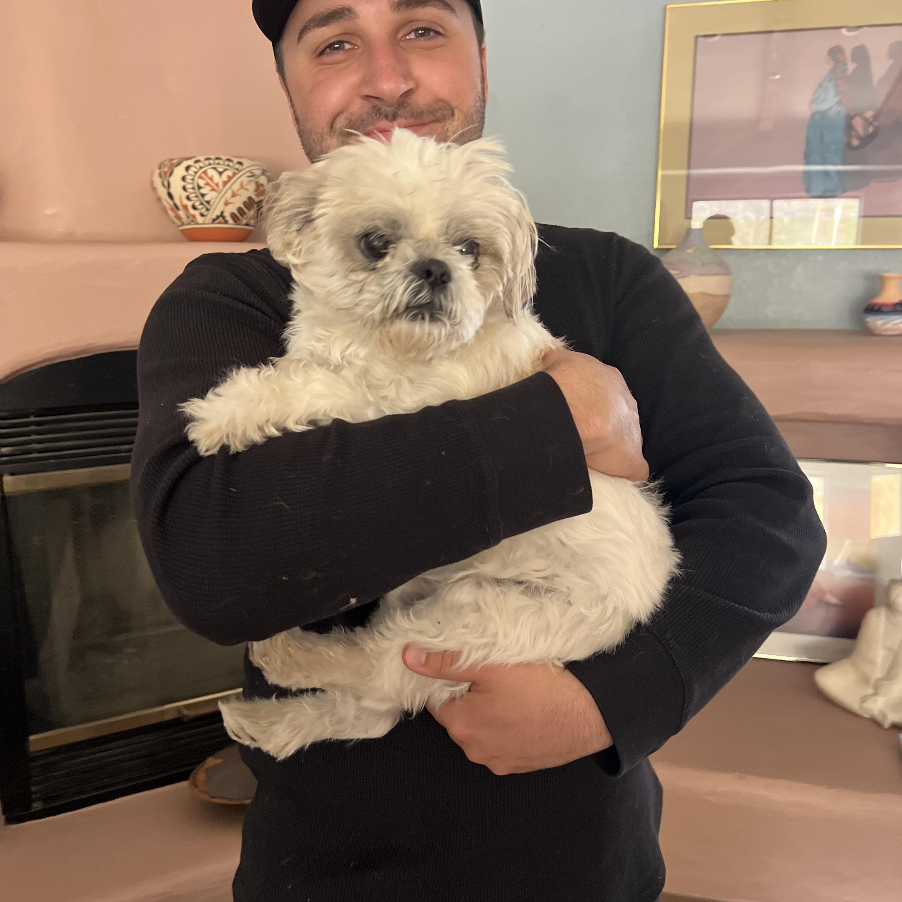 Enlarge Oscar, a ADOPTABLE mixed breed in Agua Dulce, CA image 2/6