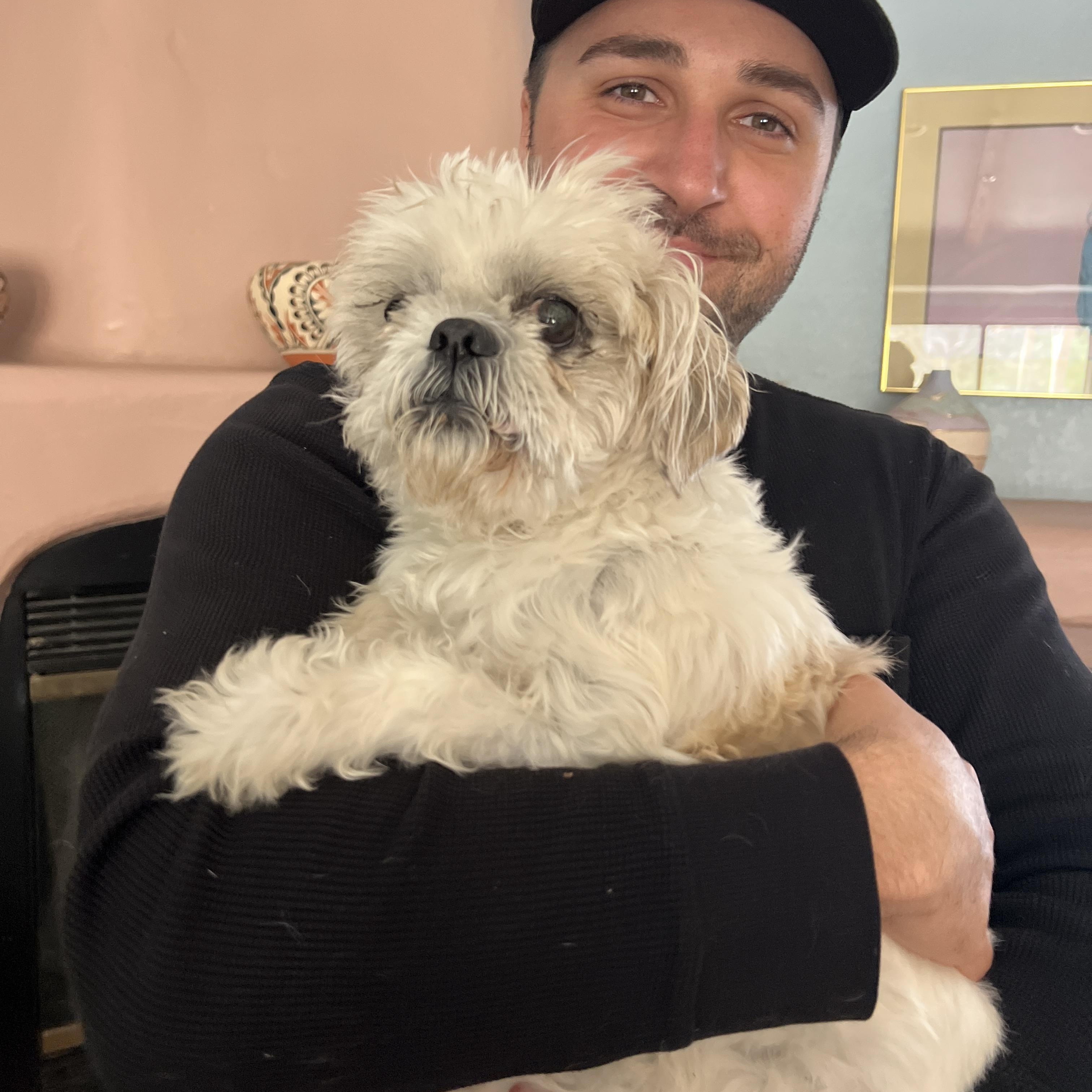 Enlarge Oscar, a ADOPTABLE mixed breed in Agua Dulce, CA image 6/6