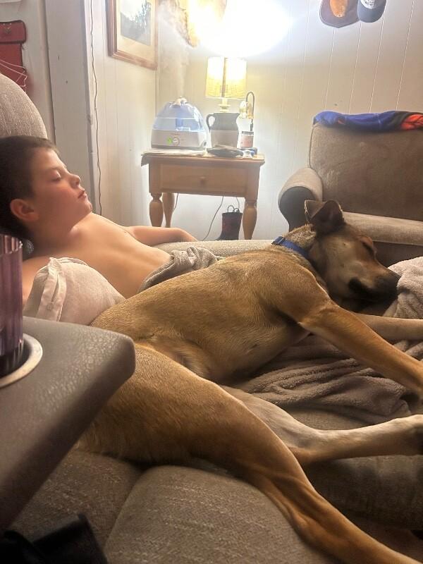 Enlarge Boomer, a Adoptable mixed breed in Maryville, TN image 2/6