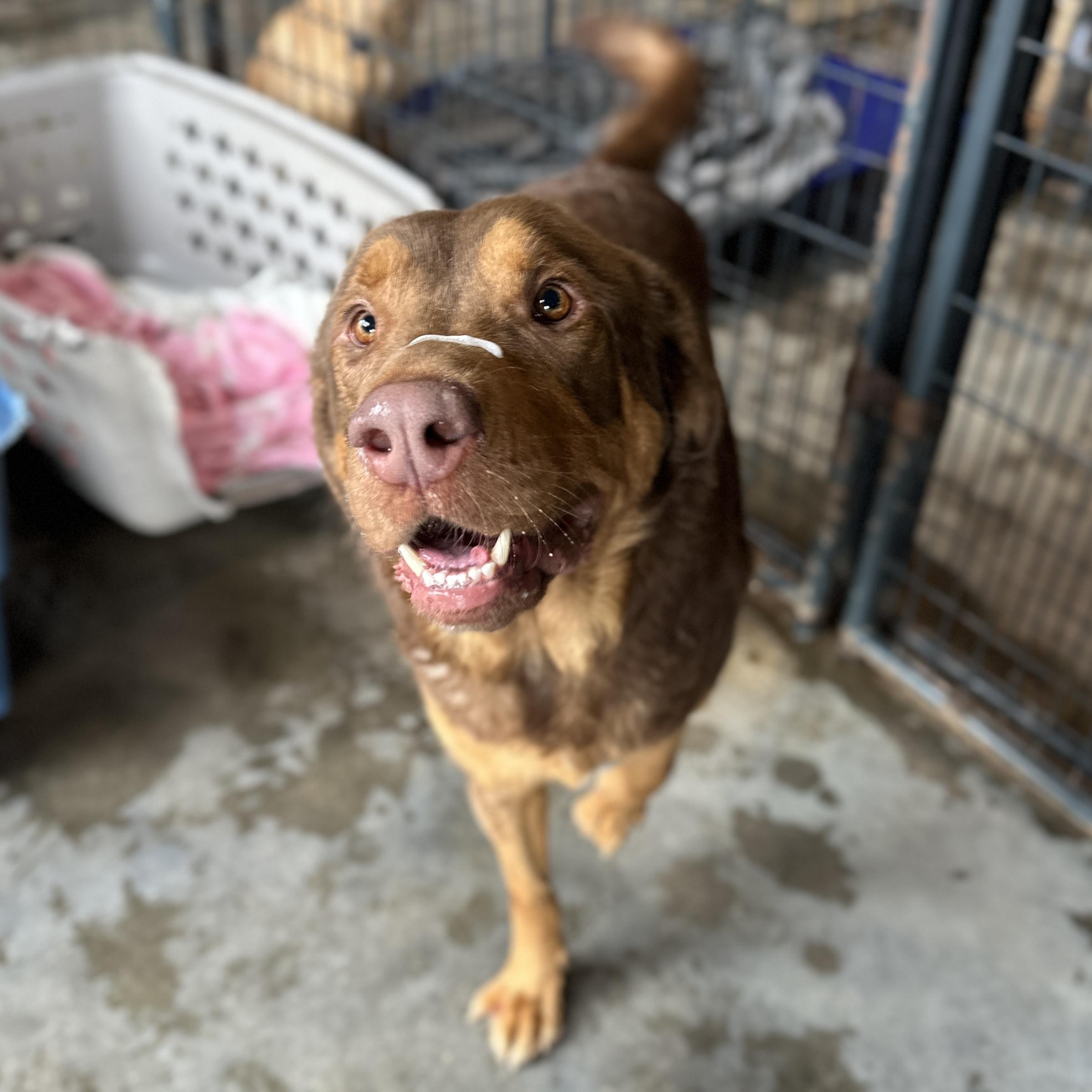 Kingston — thumbnail 2