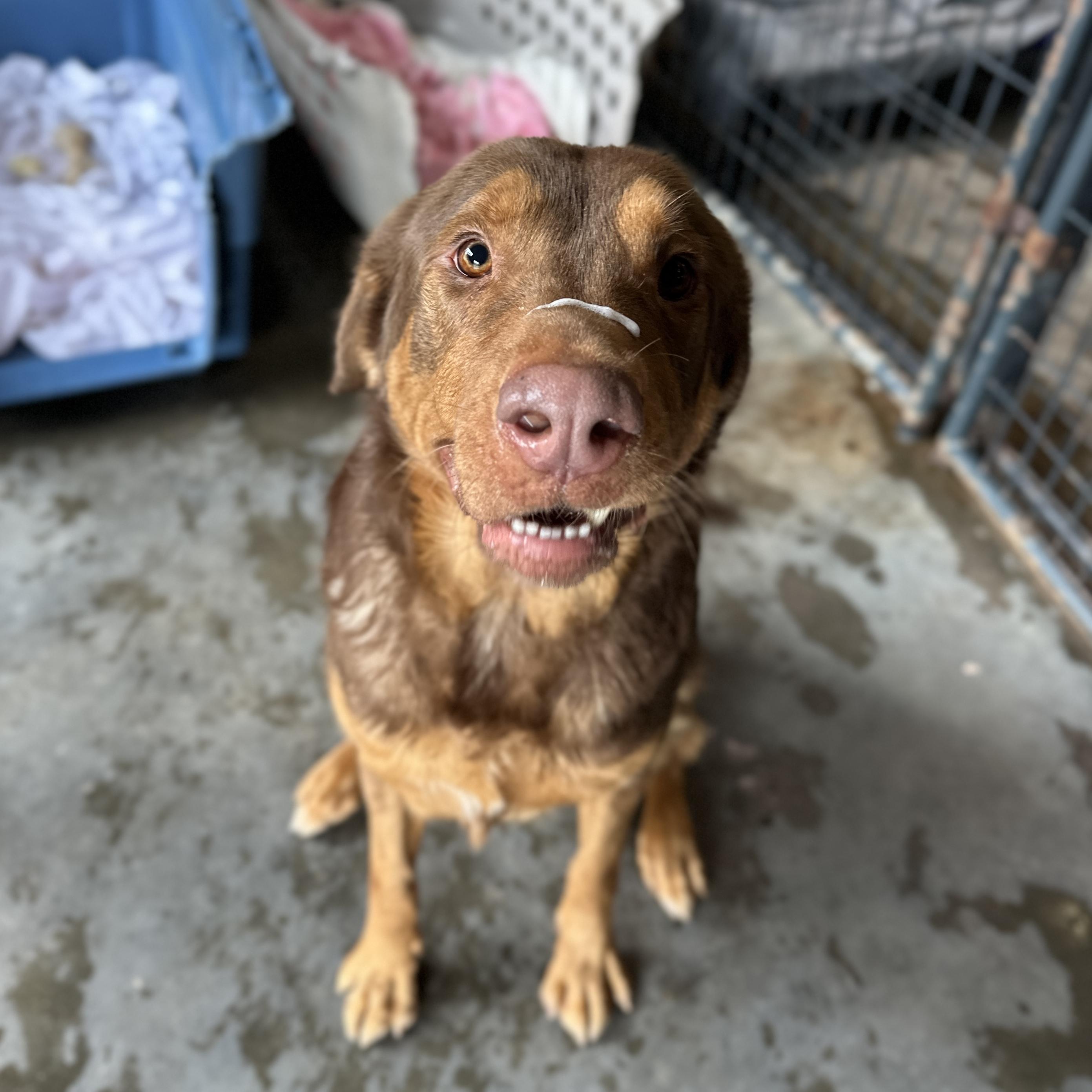 Kingston — thumbnail 5