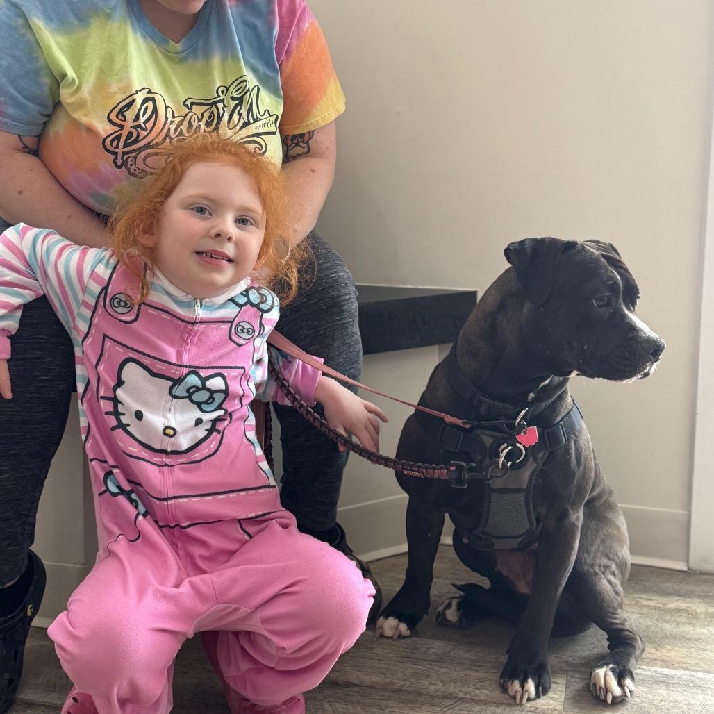 Enlarge Lucy, a Adoptable Mixed Breed in Franklin, TN image 3/6