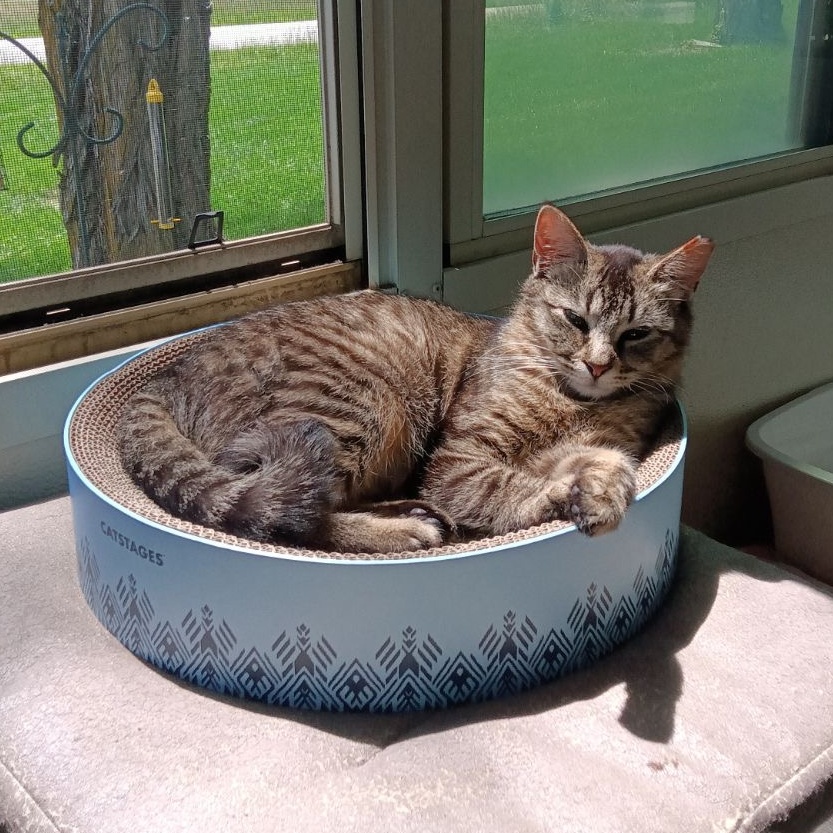 Chinchilla And Lucy thumbnail 2