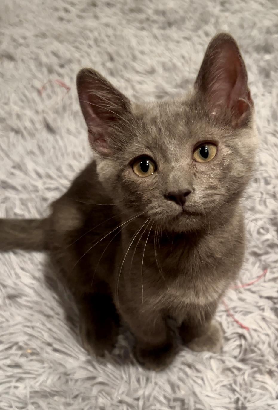 Norma Jean
