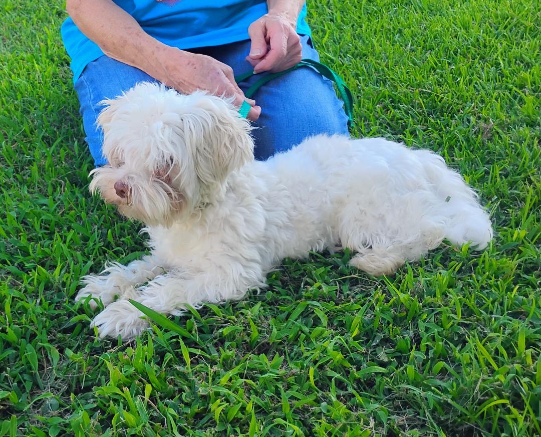 Casper