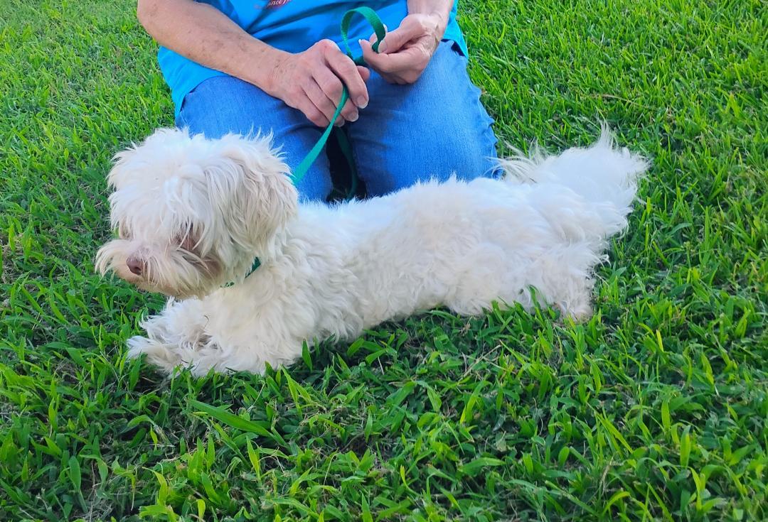 Casper