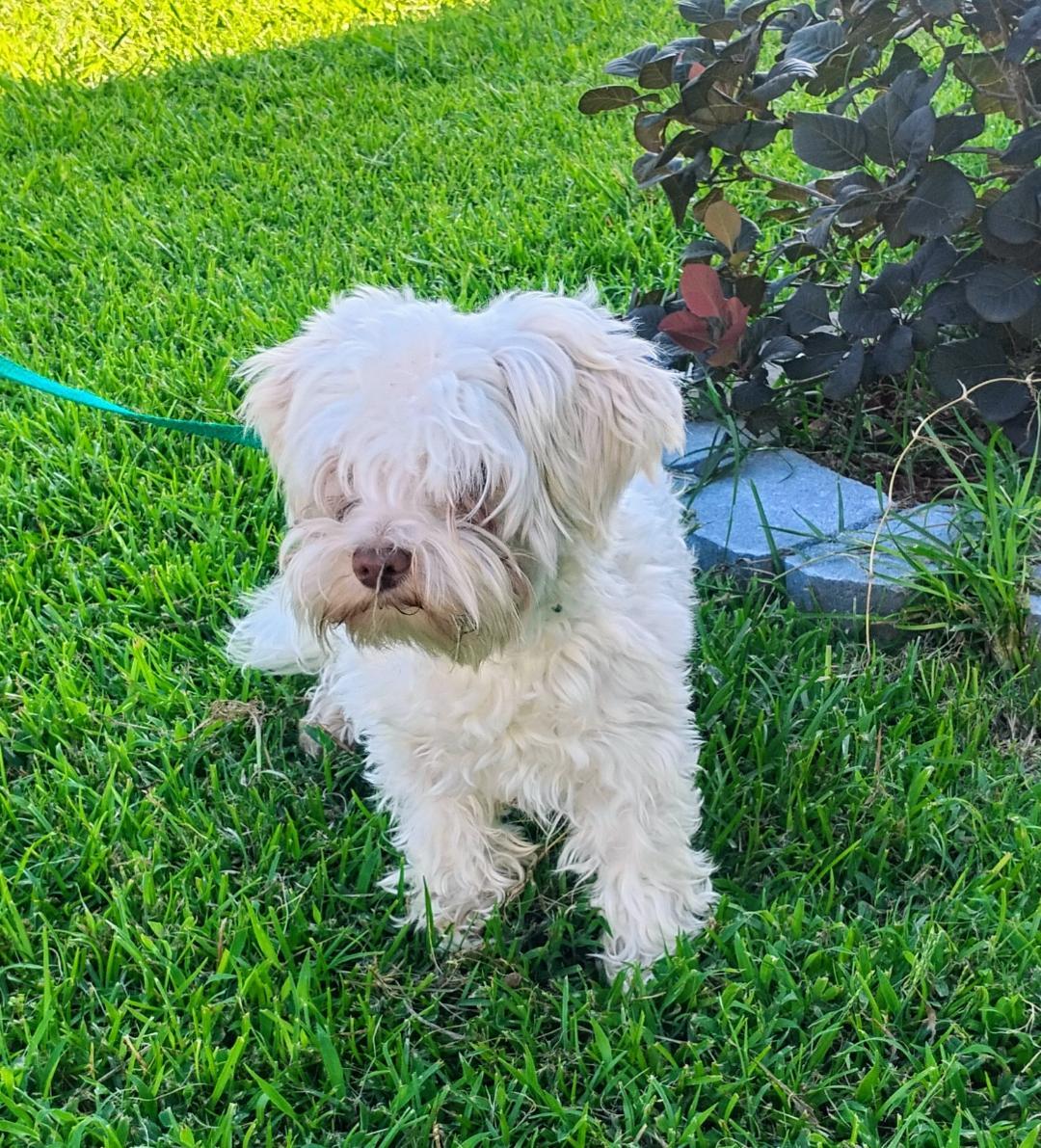 Casper