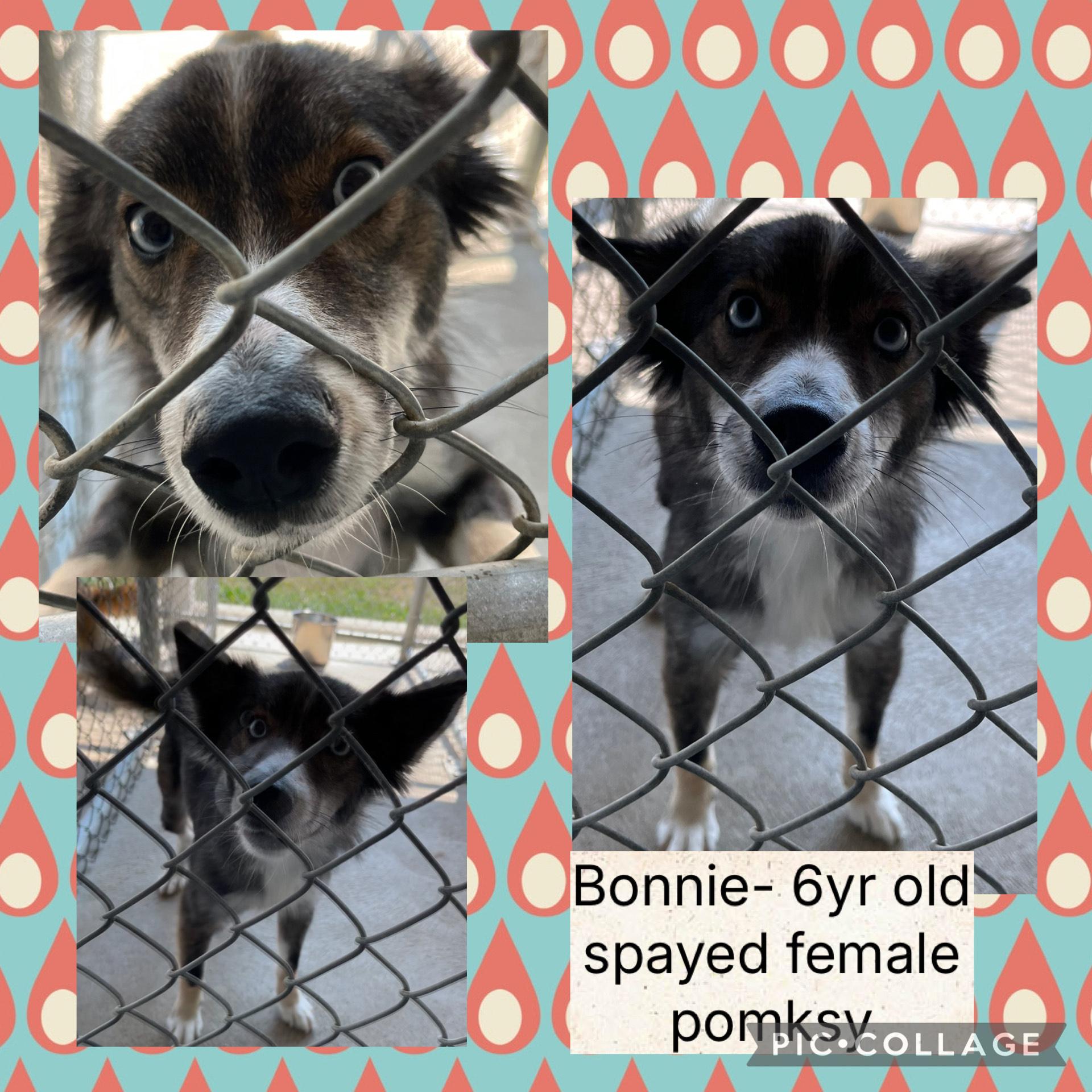 Bonnie