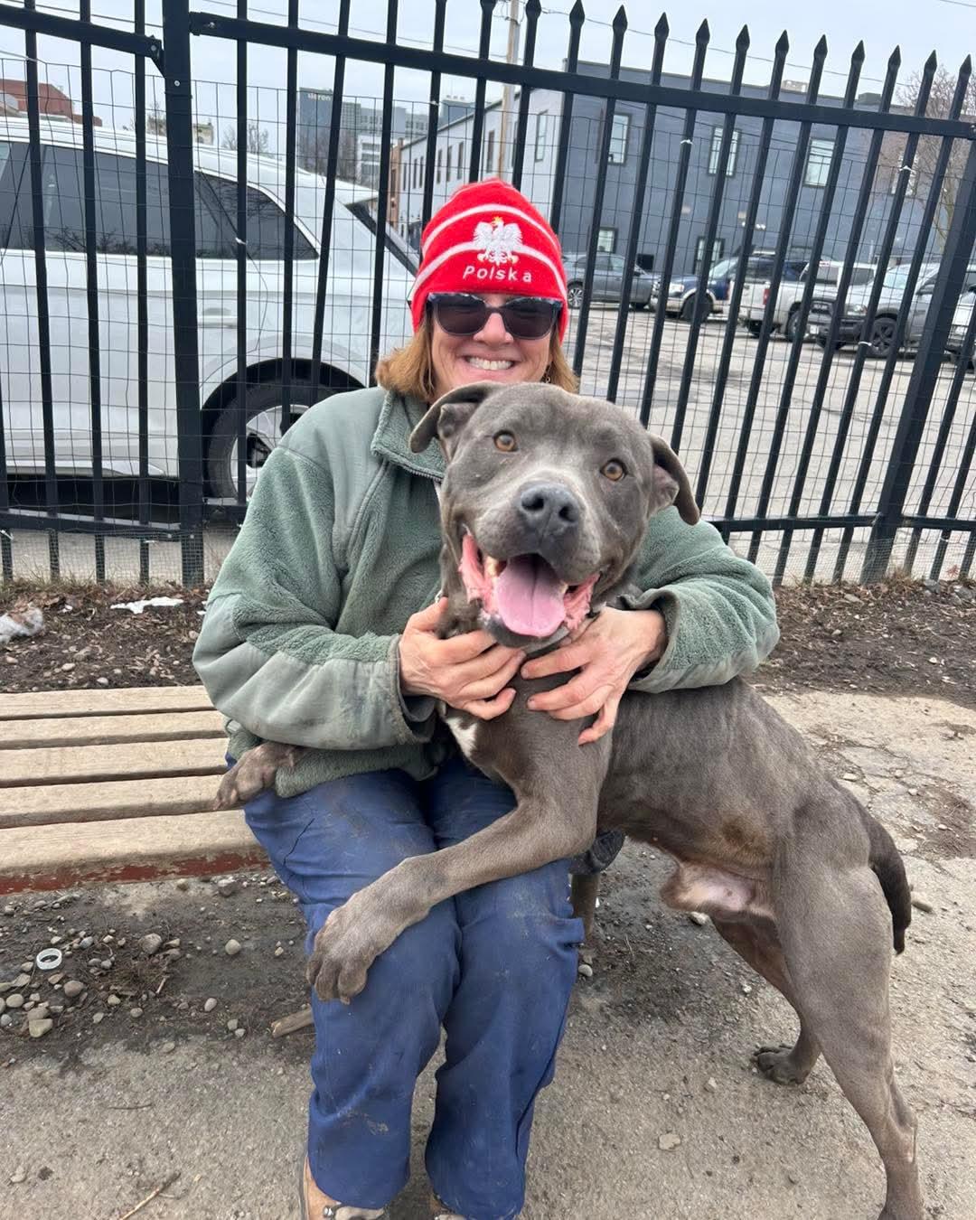 Enlarge Zeus , a ADOPTABLE mixed breed in Buffalo, NY image 3/5