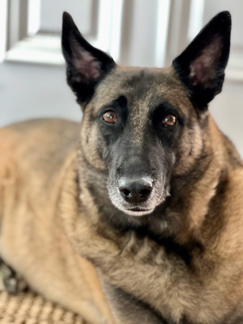 Nyla photo 5