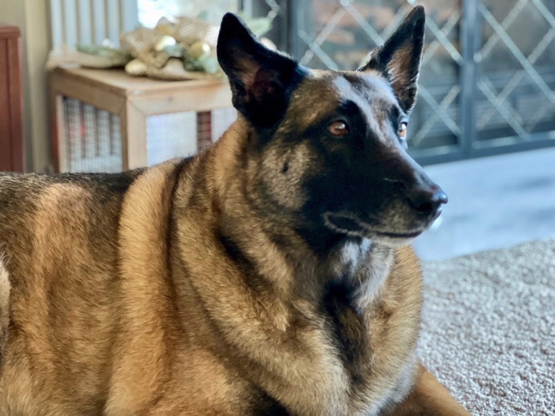 Nyla photo 4