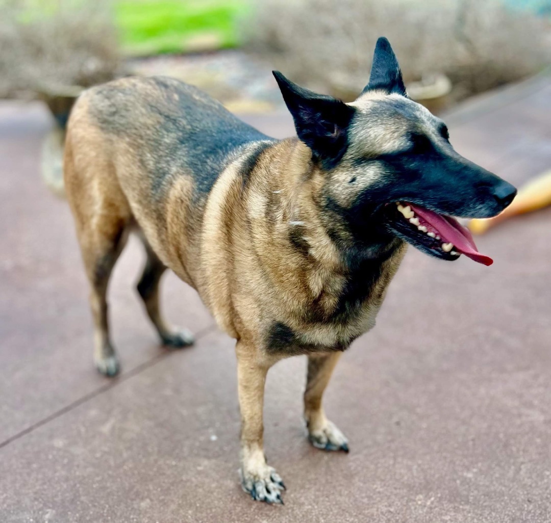 Nyla photo 3
