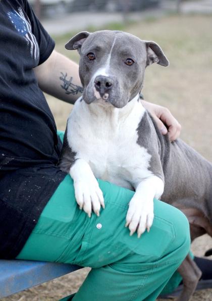 Tori — thumbnail 2