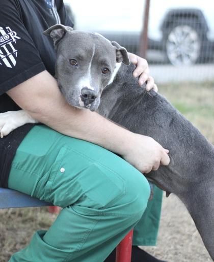 Tori — thumbnail 3